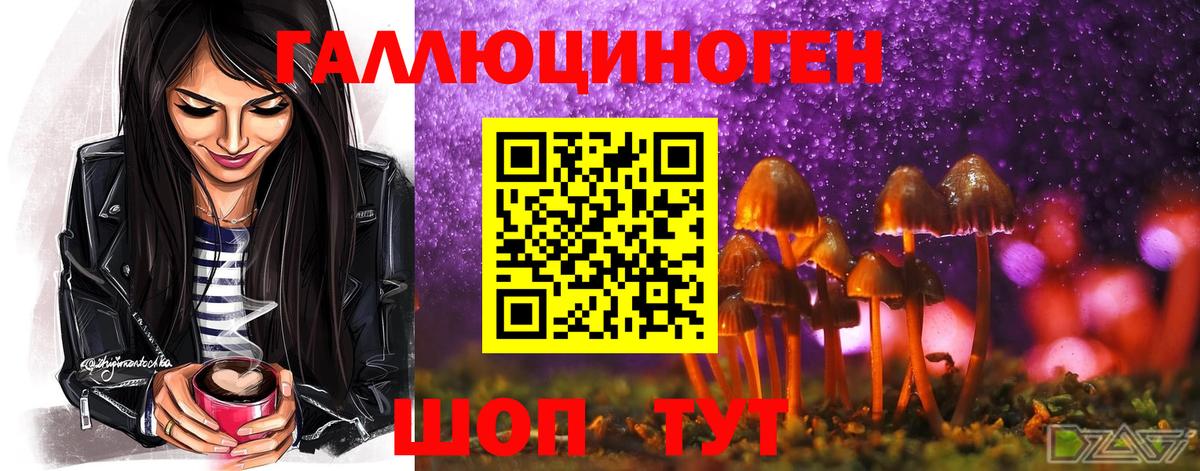 Псилоцибиновые грибы MAGIC MUSHROOMS  Вход с VPN  Орехово-Зуево 