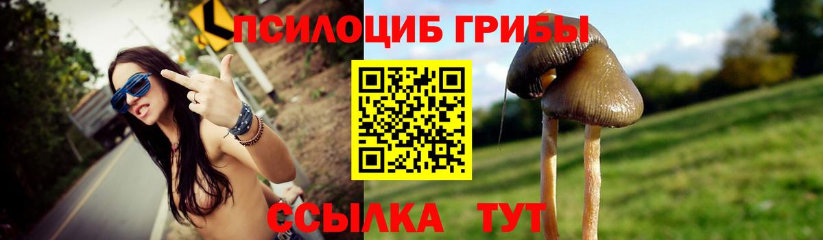 Галлюциногенные грибы мухоморы Орехово-Зуево